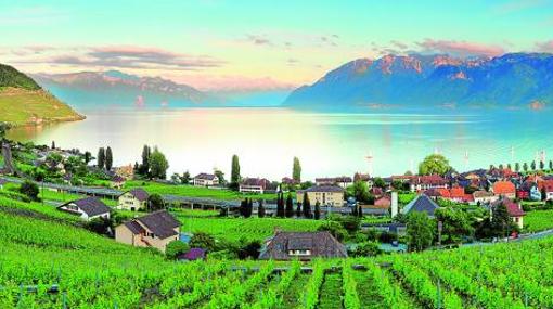 Viñedos de Lavaux, junto al lago Lemán