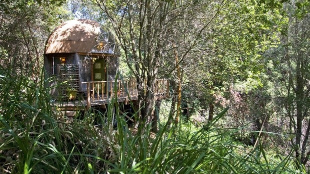 Mushroom Dome en Aptos, California, el alojamiento de Airbnb con más visitantes