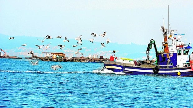 Un pesquero en la zona de bateas de la ría de Arosa