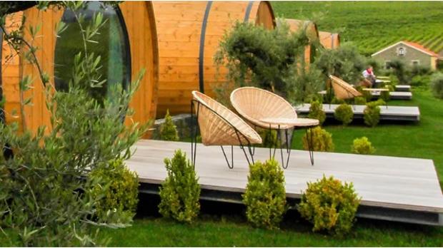 Wine Barrels