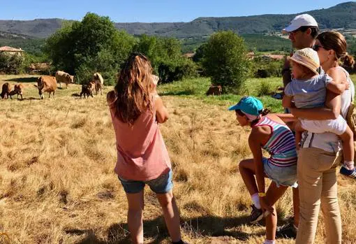 Experiencia «Ganaderos por un día», organizada por Nansa Natural en Cantabria