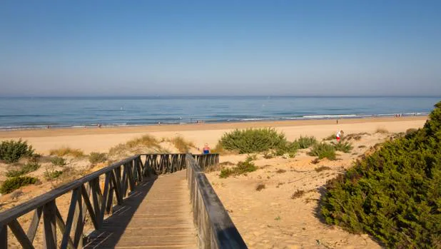 Playa de la Barrosa bei Novo Sancti Petri, Chiclana de la Frontera, Cadiz