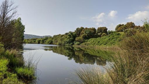 Río Bullarque